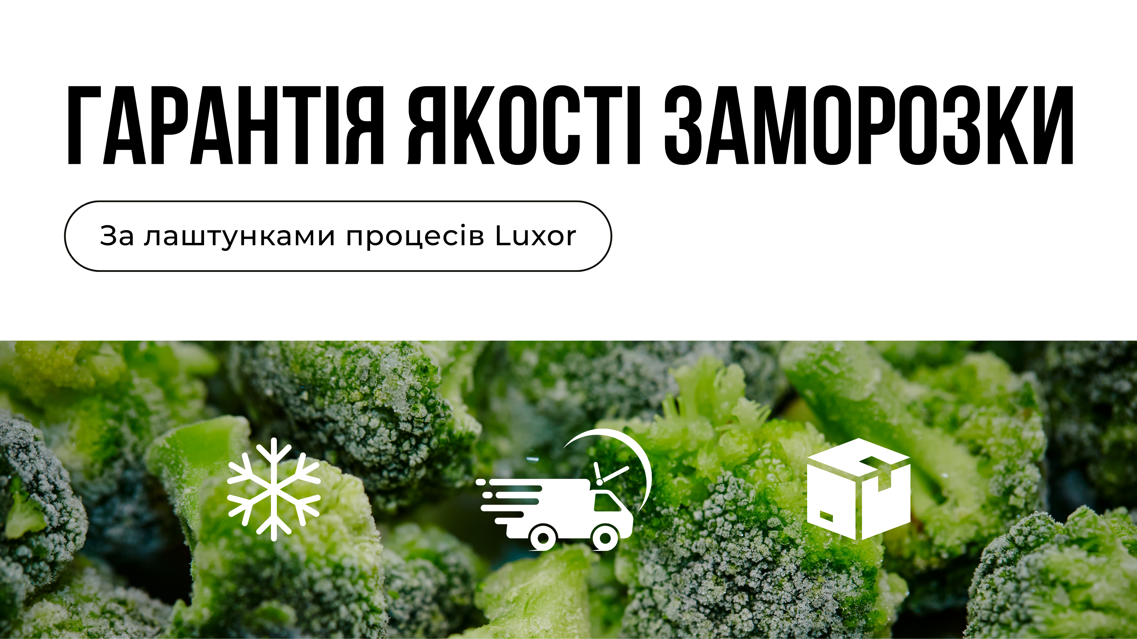 За лаштунками Luxor: Як ми зберігаємо якість заморозки?